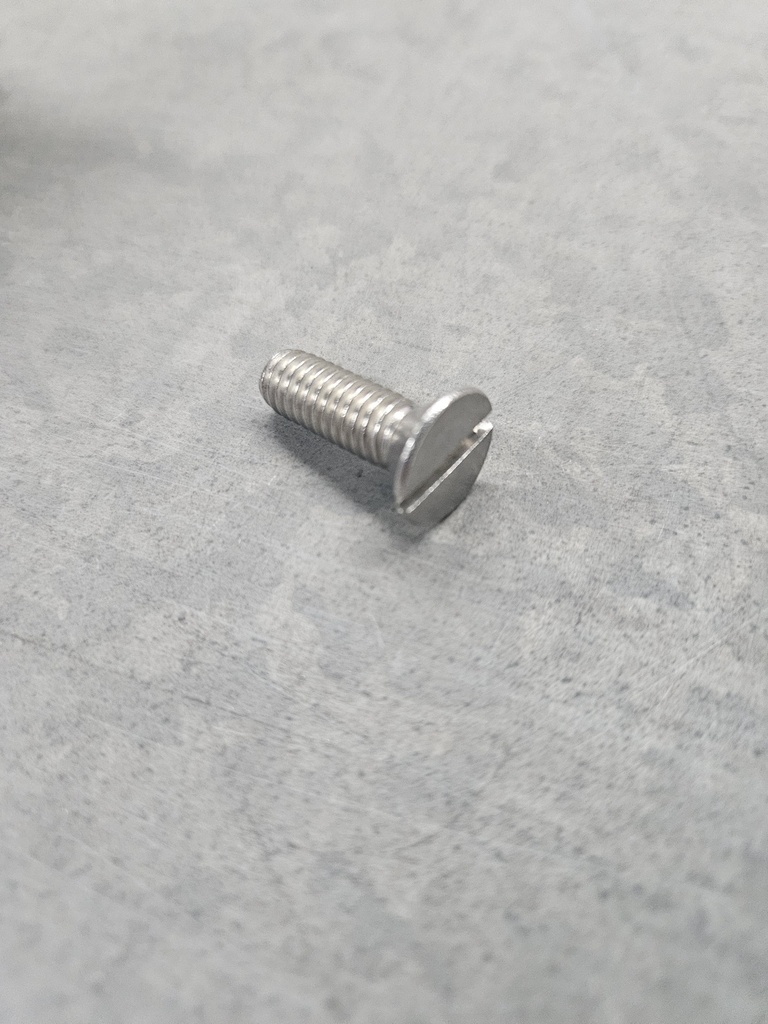 [MP21249] Flat screw SS WearPL FM