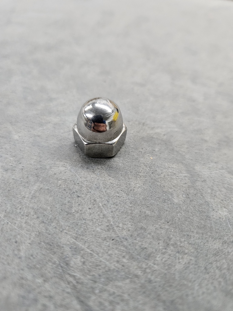 Acorn Nut SS WearPL FM10/15