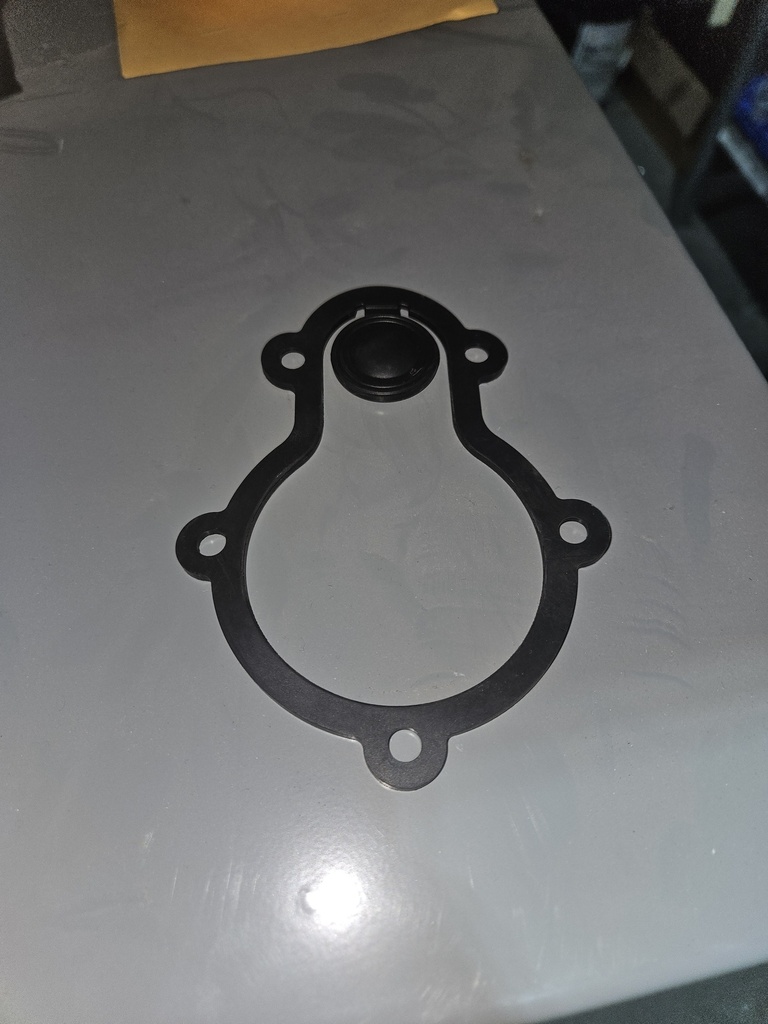 GASKET VITON:FRX75-SP